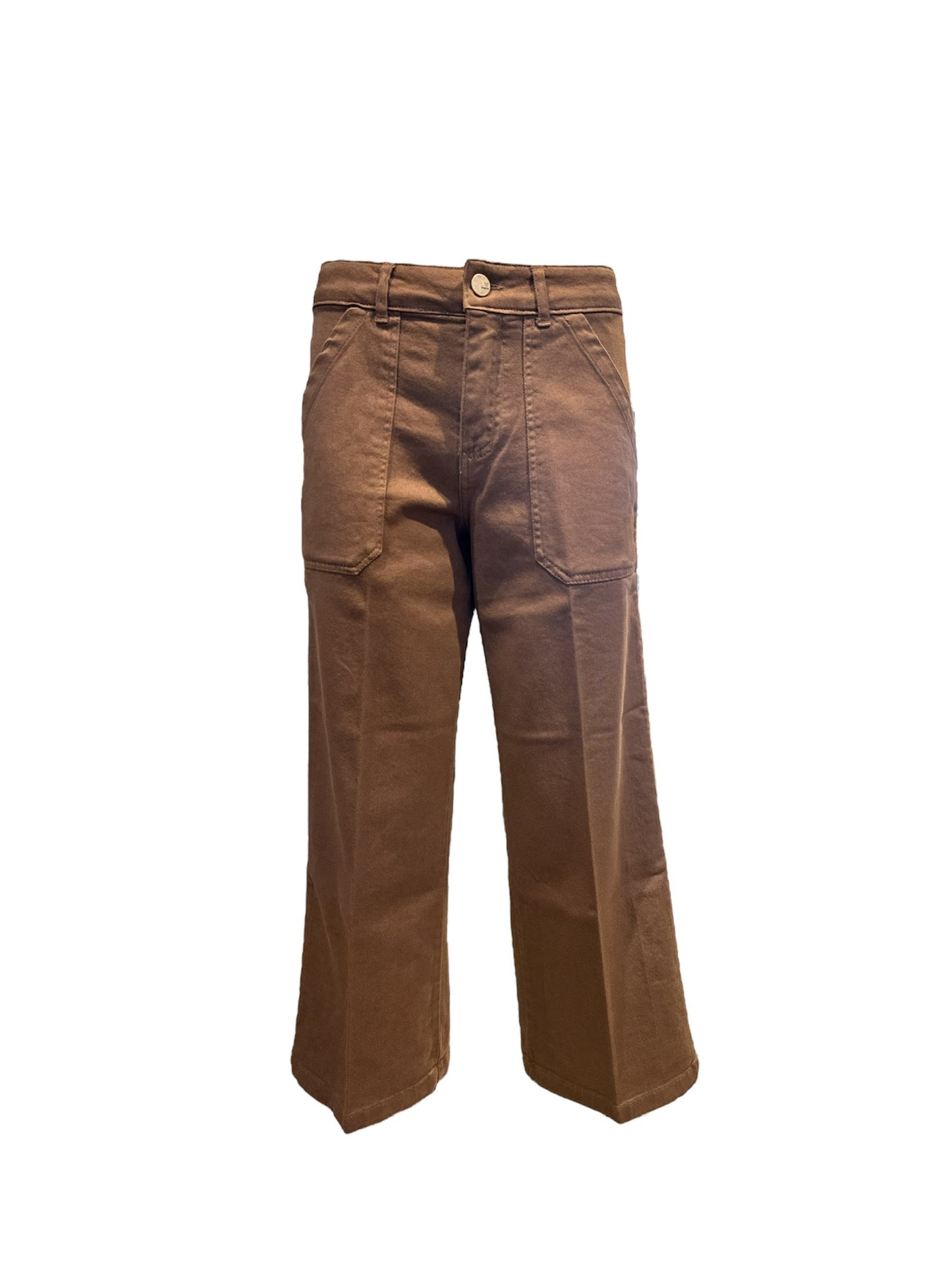DENISE-61 PANT CACAO