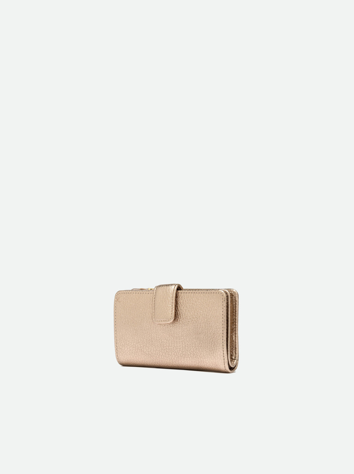 Portafoglio dollaro oro Gianni Chiarini