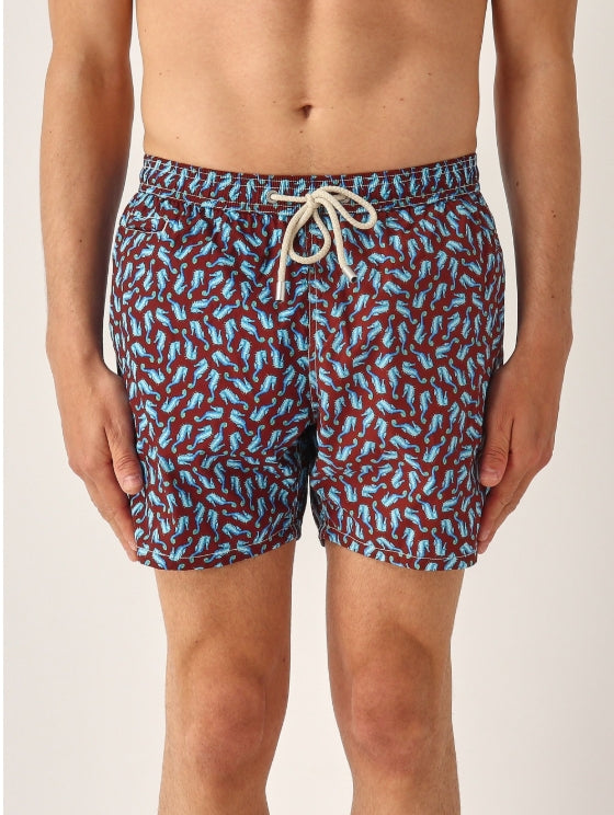 Boxer seahorse MC2 Saint Barth