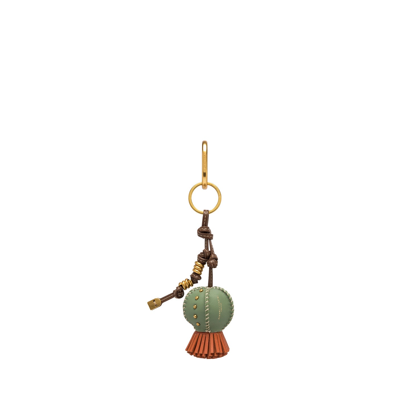 Charm cactus