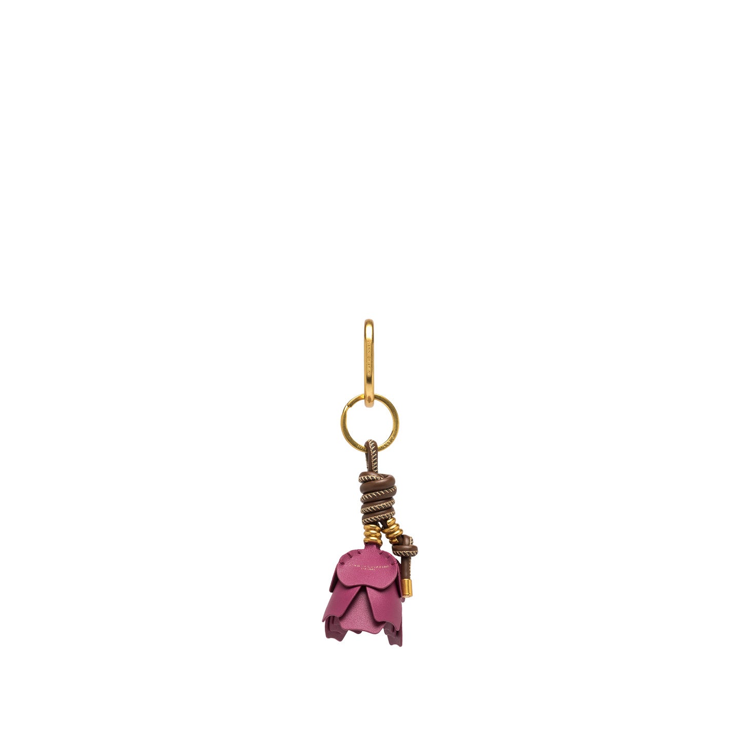 Charm desert flower