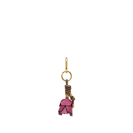 Charm desert flower