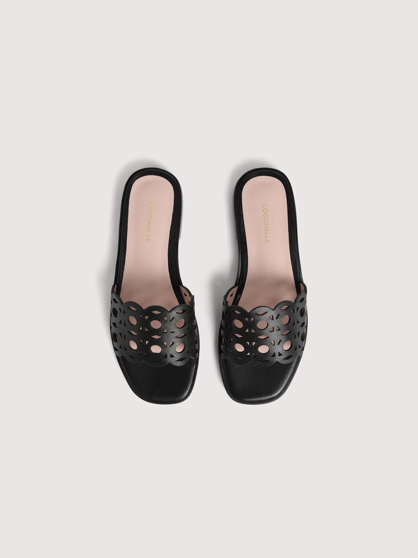 Coccinelle Essential nere