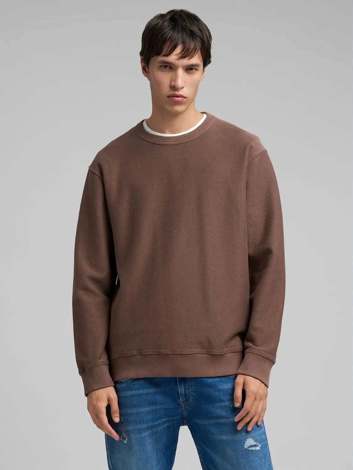 Felpa operata cacao Replay