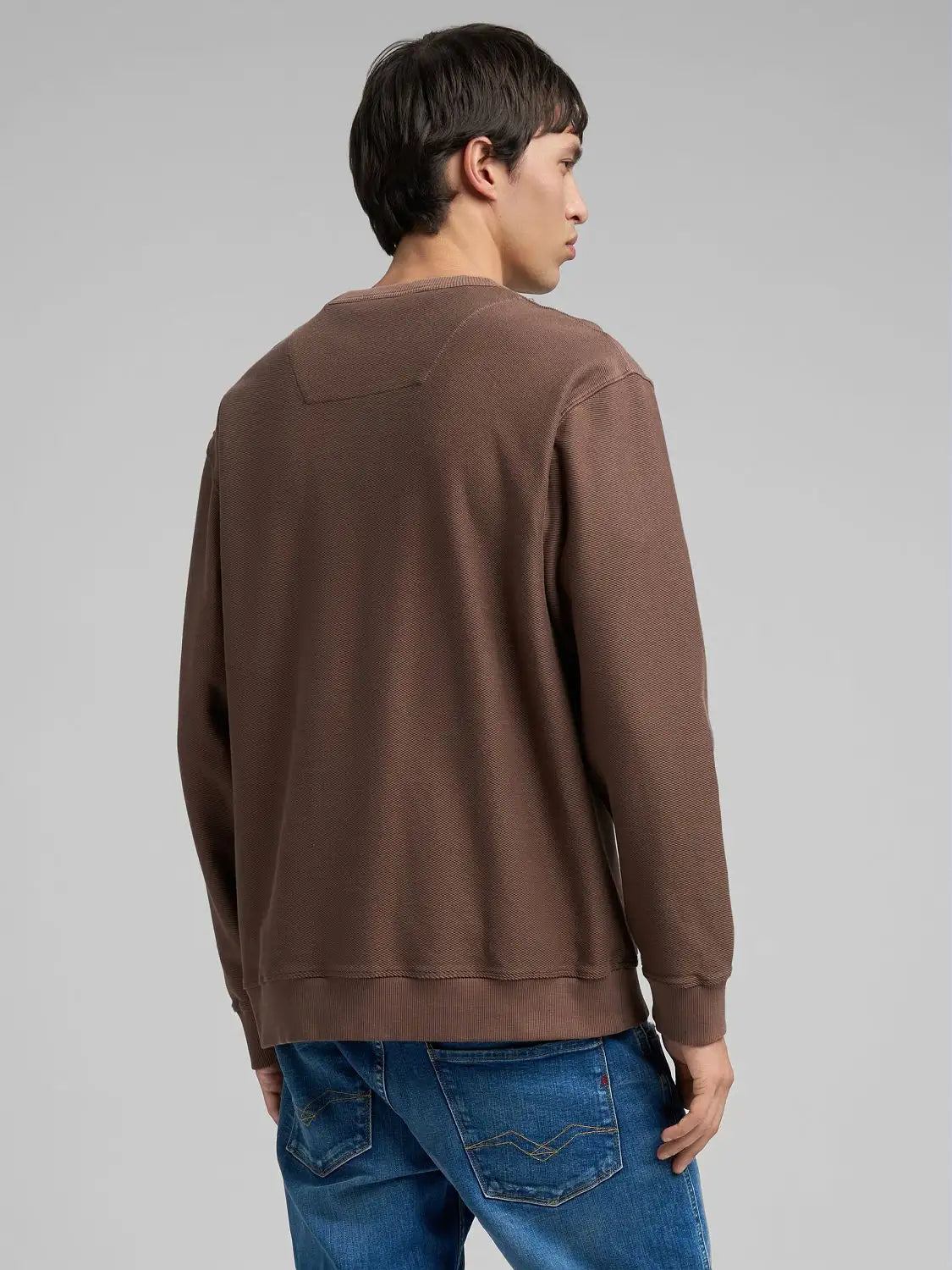 Felpa operata cacao Replay