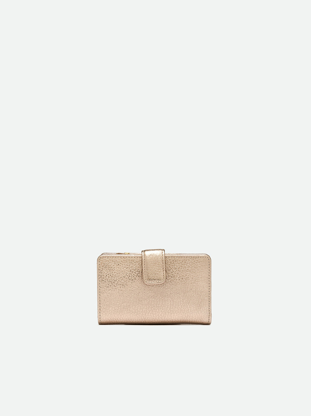 Portafoglio dollaro oro Gianni Chiarini