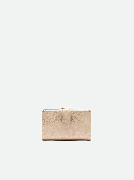 Portafoglio dollaro oro Gianni Chiarini