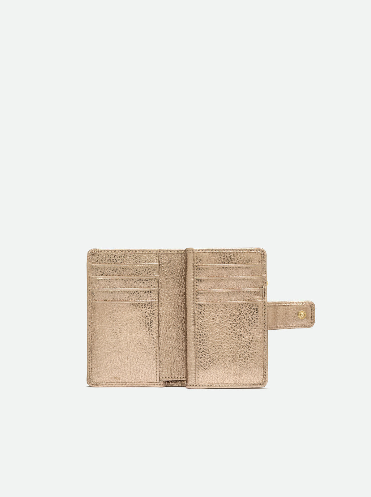 Portafoglio dollaro oro Gianni Chiarini