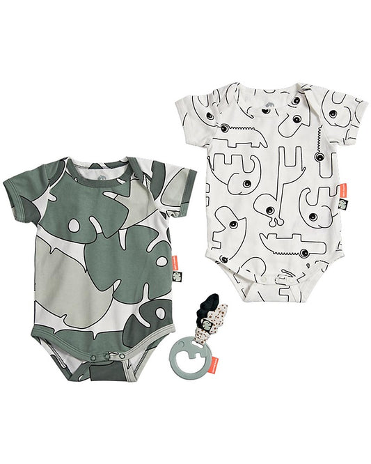 SET BODY DONE BY DEER